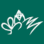 progressiveforage.com