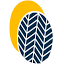 tenereconcept.com