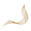 adsc.gov.ae