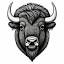 buffaloscoop.com