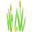 cattail.nu