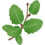 cerrofrias.com