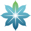 dallastmsproviders.com