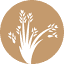 goodlifeministries.net