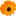marthamaesflowers.com