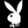 playboytv.co.kr