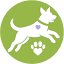 rescuedogs101.com