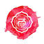 sheetalpakhare.com