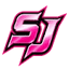 snaptikdownload.net