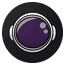 stocknear.com
