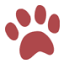 thesprucepets.com