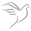 adege-apotheke.de