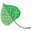 allergytx.com