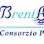 consorziotrabrentaeadige.it