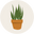dansunjardin.com