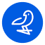 dcogt.com