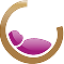 efcni.org