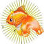 goldfish402.ru
