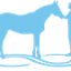 harmonyhorsemanshipacademy.org