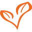 livingonline.com.au