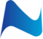 netglobalturkey.com
