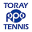 toray-ppo.com