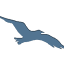 truenorthfinancialsolutions.com
