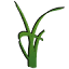 waterlessturf.com