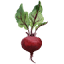 ecocultures.ca