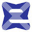 exionnaire.com