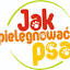 jakpielegnowacpsa.pl