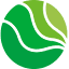shengcaijinrong.com