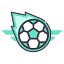 soccerins.com