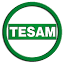 tesam.pl