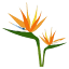 tropicalarrangementsmd.com