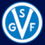 vsgf.se