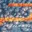 widmer-sport-import.ch