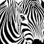 anxietyzebra.com