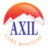 axilinternational.com