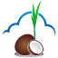 coconutconsulting.com.au