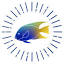 diveparadise.com