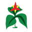 evergreenindianrestaurant.com