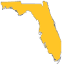 flbrace.org