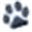 floridalittledogrescue.com