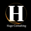 hageconsulting.com.br