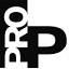 professionalpainter.ca