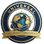 universalpropertyinspections.com
