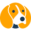 beaglestreet.com