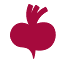 beetroot.academy