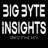bigbyteinsights.com